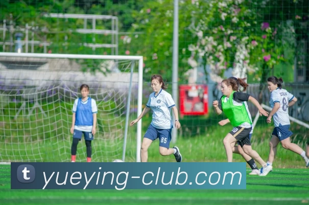 多媒体互动体验